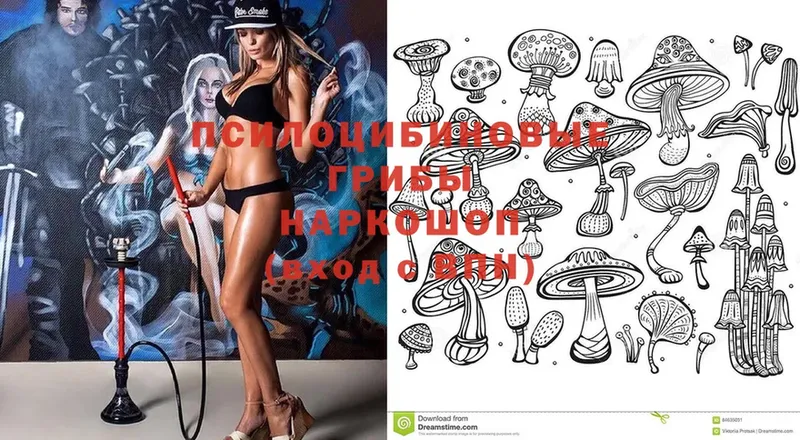 Галлюциногенные грибы Cubensis  Прокопьевск 